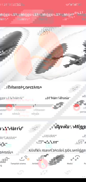 Mual mual dan pusing