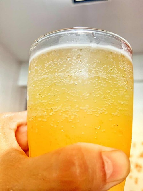 Kombucha time
