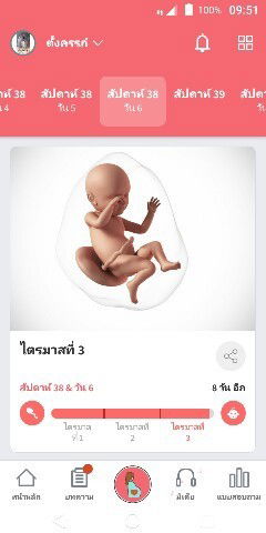 ทีมมีนาจ้า