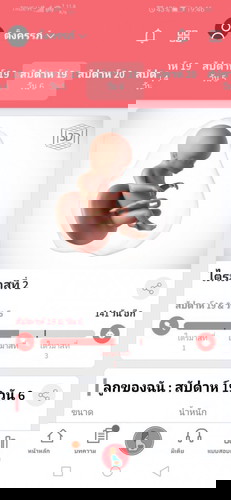 ตั้งครรภ์