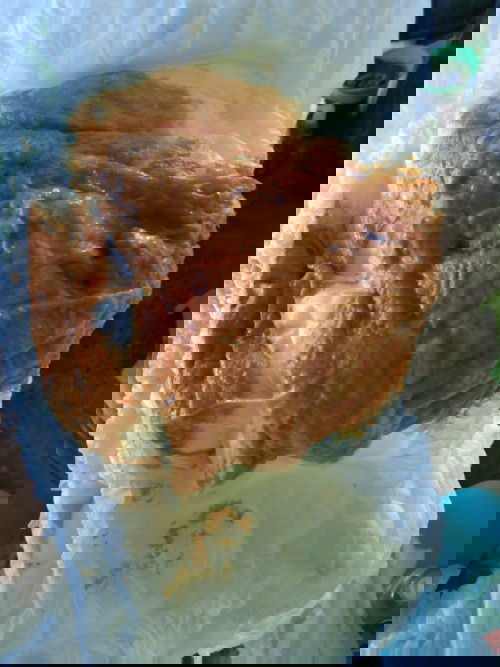 น้อง1ขวบ1เดือน22วันถ่ายแบบนี้ปกติมั้ย