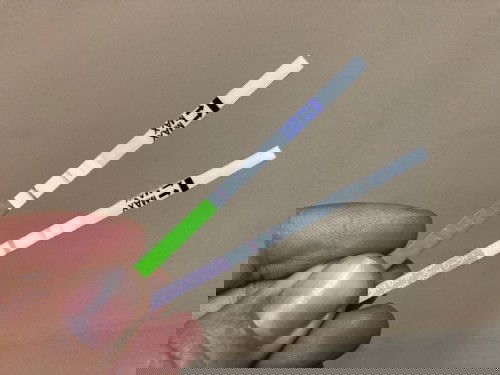 ตอนนี้ตั้งครรภ์ได้ 8 สัปดาห์แล้ว แต่ยังไม่ได้ไปฝากท้อง ซึ่งเราไม่มีอาการแพ้ใดๆเลย นอกจากง่วงนอนและเจ็บหัวนม  บางทีก็จิตตก กังวลไปหมด ใครเป็นแบบนี่บ้าง