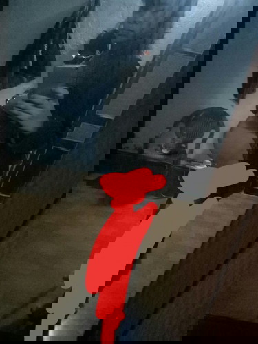 Các mom cho em hỏi chút bụng như này là tụt hay cao ạ