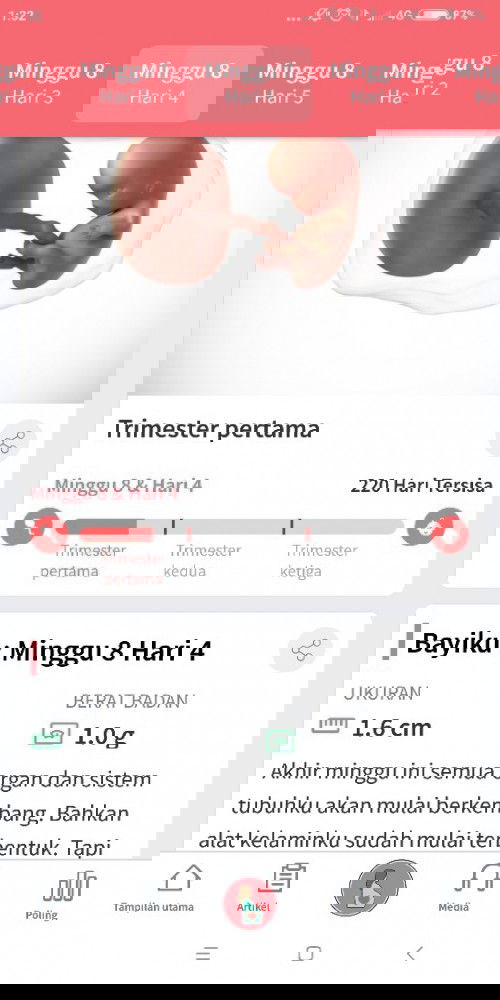 Hamil 8 minggu 4 hari