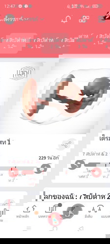ทีมตุลาเป็นยังไงกันบ้างค่ะ