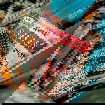 ngũ cốc cho mẹ bầu mẹ sau sinh và cả bé ăn dặm