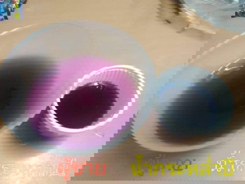 ทดสอบเพศด้วยน้ำกระกล่ำปีสีม่วงกันค่ะ