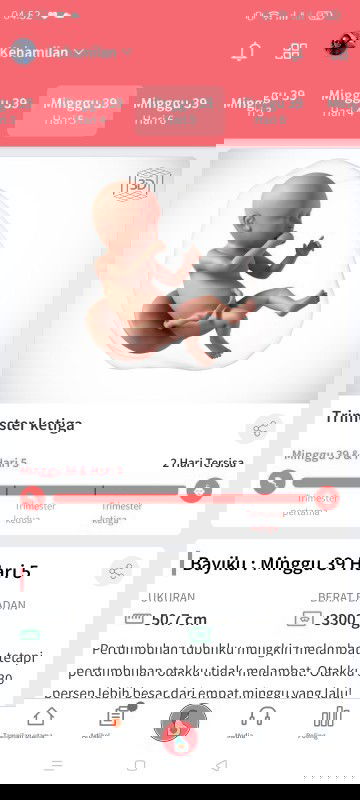 Nunggu gelombang cinta