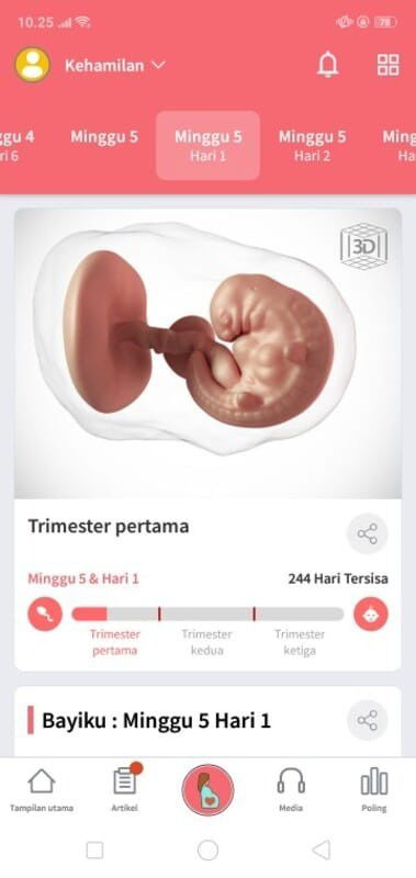 Selamat siang bunda kenapa yh perut saya suka sakit celetitan? Apa tidak apa-apa? Usia hamil 5minggu