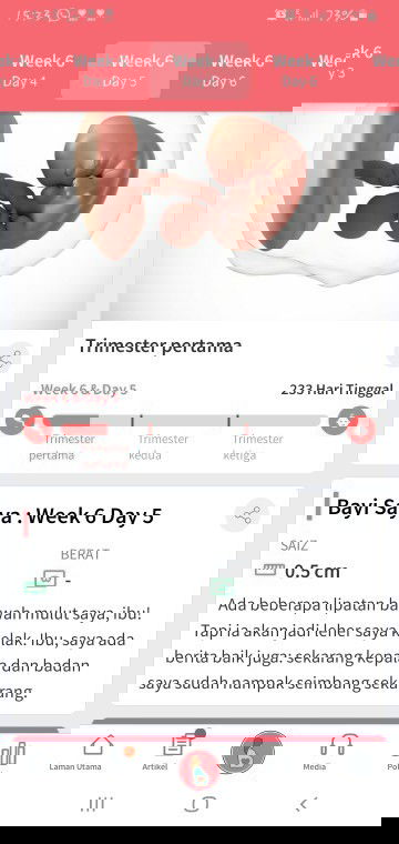 Kehamilan dalam apps ni..