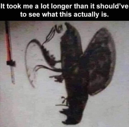 What do you see?