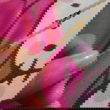 Negatif atau positif ya Bun?