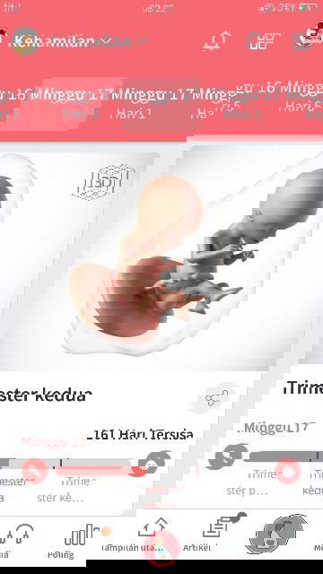 usia kehamilan beda dr apk