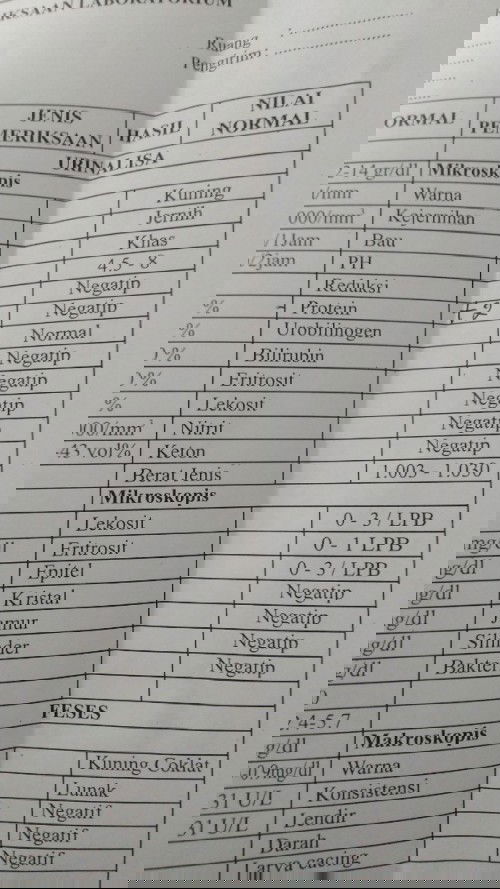 Menurunkan kadar protein dalam urine