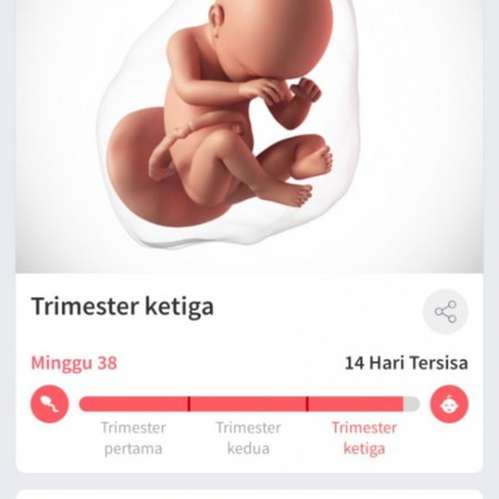 Hallo bunda,
