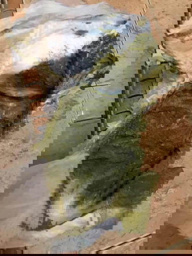 Najis bayi berwarna hijau