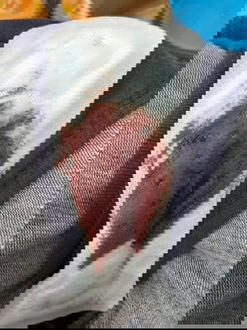 ขออณุญาตนะคะแม่ๆ พอดีเมื่อวานกับวันนี้มีเลือดออกทางช่องคลอดคะ เยอะเลยลูกในท้องจะเปนไรไหมคะพึ่งท้องคะ