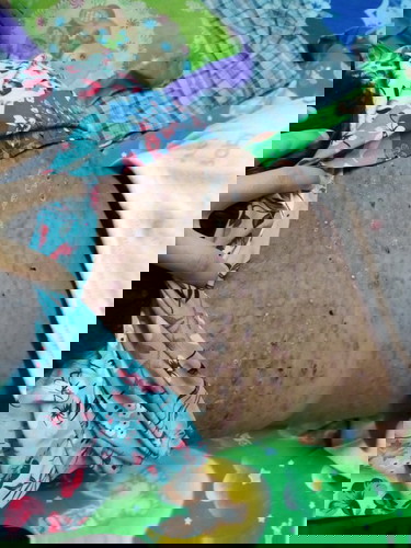 ขอความช่วยเหลือ