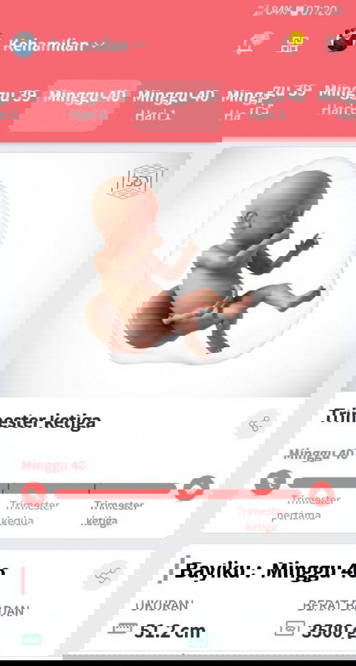 Menanti Launching 🤰