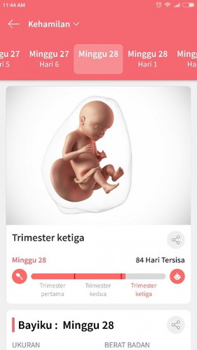 Info nya bun,,di usia kehamilan ku ini apakah dapat cek usg..?