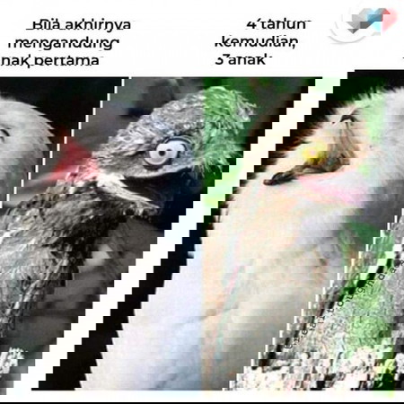 Eh betul ke ni mama?