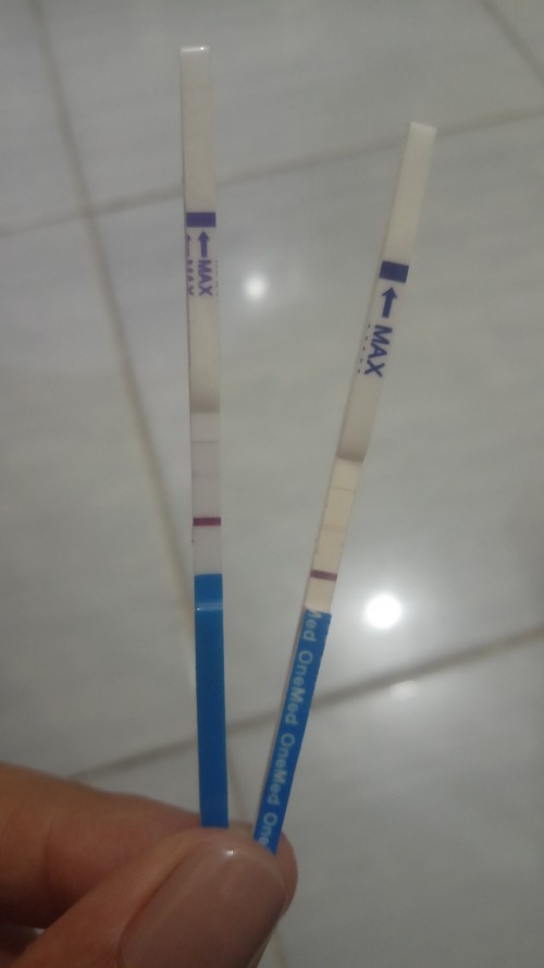 Tespek menjelang jadwal haid