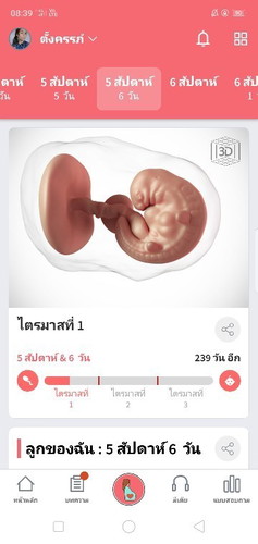 ไตรมาสที่1 ท้องเริ่มออกแล้ว😂🧡