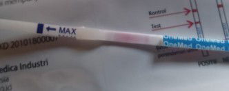 Penebalan dinding rahim