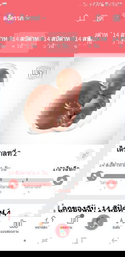 ขอถามแม่ๆว่ากี่เดือนแล้ว