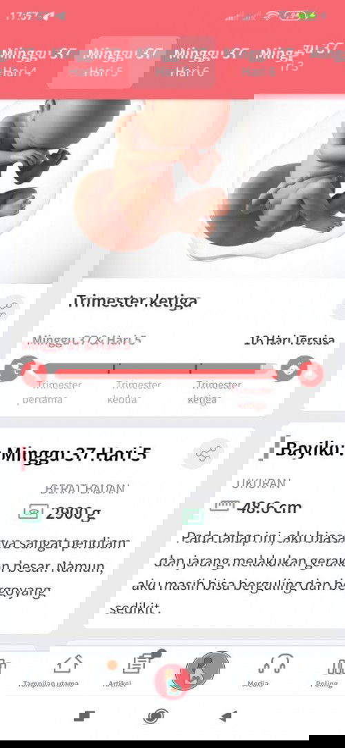 Menunggu si adek lahir. Masih anteng aja nih...