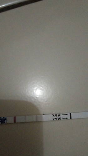 Hari kemarin tgl 10 aku cb tespek hslinya sprti ini,positif ga ya?