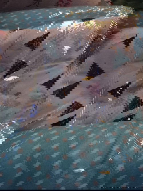 Bantal untuk newbrown