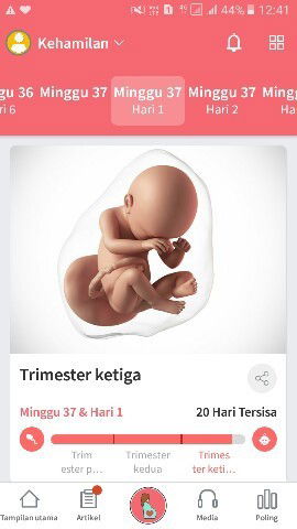 Menunggu dedek louncing