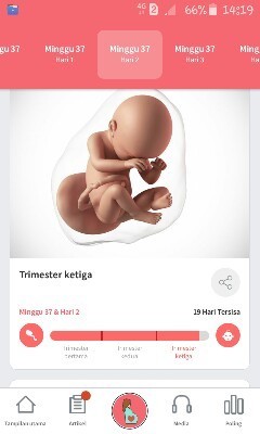 hpl 31 maret
