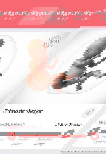 Menghitung hari menjelang persalinan