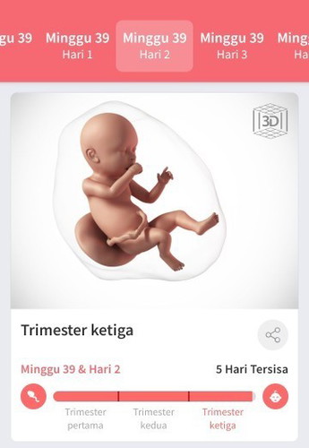 Menghitung hari menjelang persalinan