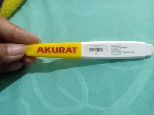 Testpack kehamilan