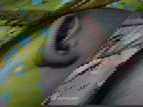 Benjolan di belakang daun telinga