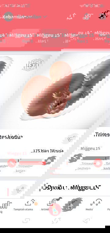 Wory hamil 15 minggu belum ngerasain kedutan