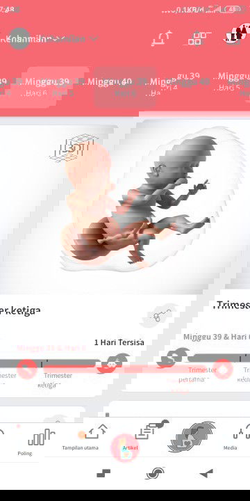 Adakah yg sama dengan saya?