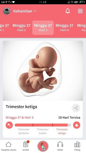 37week3day