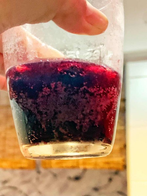 Kombucha time