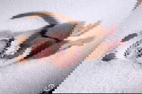 2 cục vàng của bố Mẹ