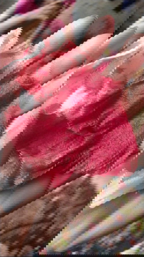 penasaran ingin tahu takut kenapa2