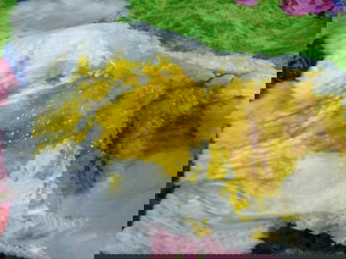 Foto pup ,yg jijik jangan klik