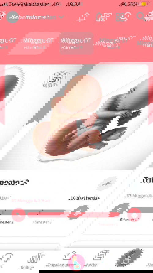 Belum ada tanda tanda