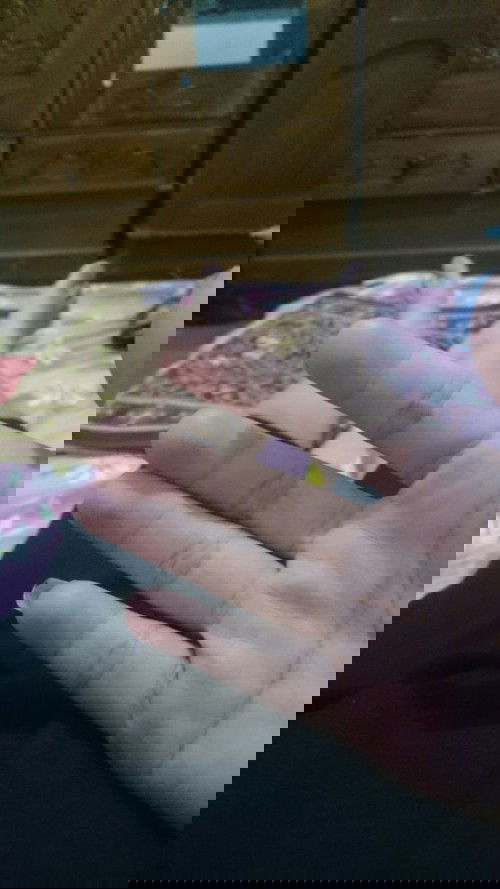 Yang dirasakan saat kehamilan