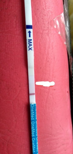 Hpht tggl 10 februari, tespek masih negatif, payudara dan puting terasa sakit, pinggang terasa pegal