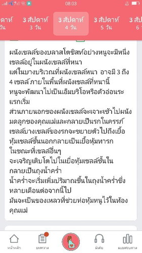 แบบนี้ล่ะเขาเรียกว่าท้องหรือป่าว