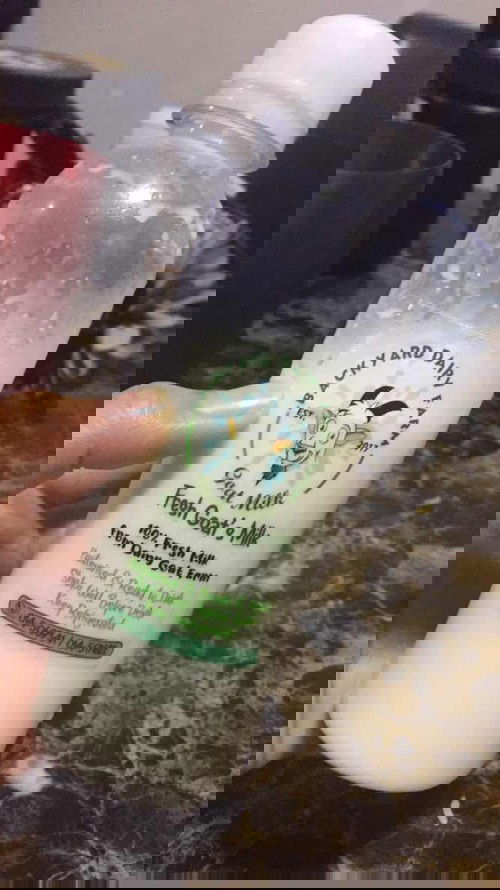 boleh ke 11 minggu ++  minum susu kambing...sis keliru ada yg cakap susu kambing panas?? betul ke